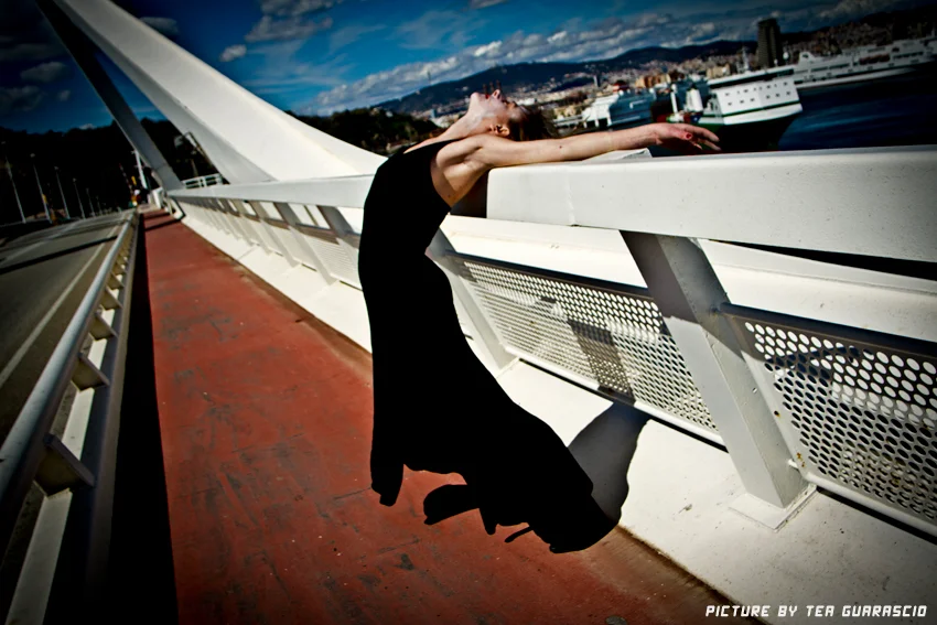 tRACES (12)